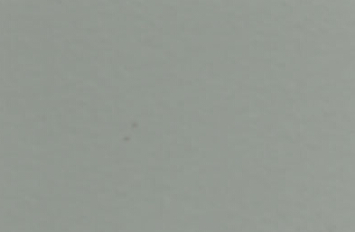 239